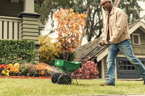 Fall Is Prime Time for Lawn Care